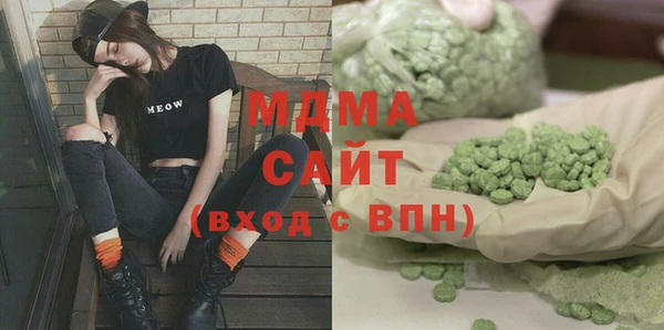 шишки Горняк