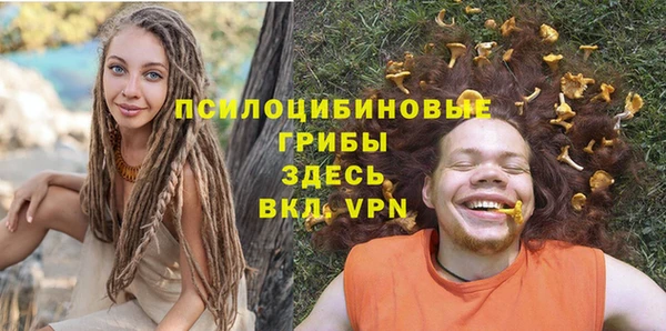 хмурый Горно-Алтайск