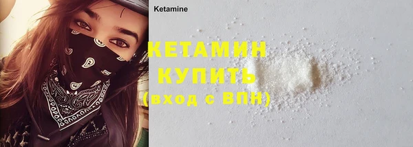 шишки Горняк