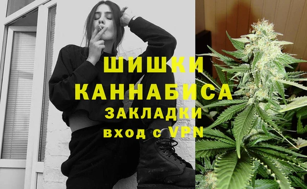 шишки Горняк