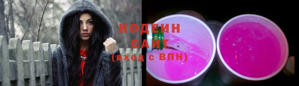 хмурый Горно-Алтайск