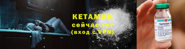 шишки Горняк