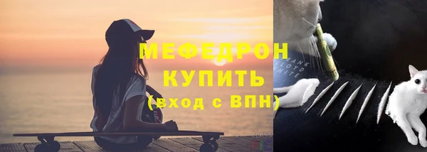 шишки Горняк