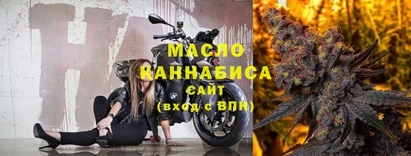 шишки Горняк