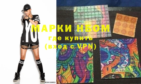 шишки Горняк