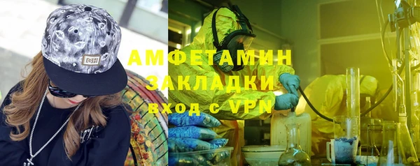 шишки Горняк
