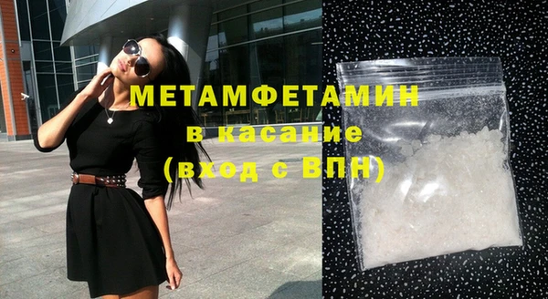 шишки Горняк