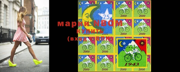 шишки Горняк
