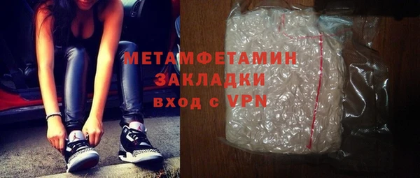 шишки Горняк