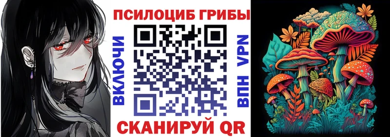 MEGA как войти  Рузаевка  Псилоцибиновые грибы Psilocybe 
